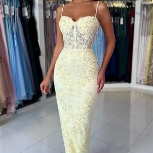 Elegant creamy Lace Women’s Dress